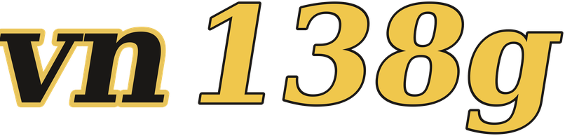 vn138g logo